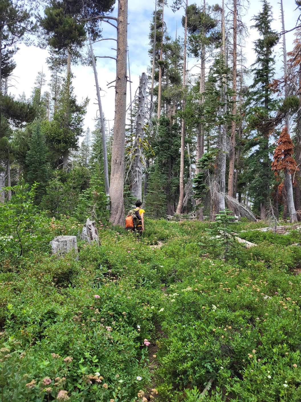 Me in forest